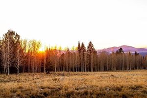 Image post by @nauflagstaff on Instagram