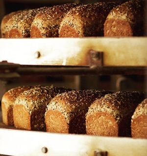 Image post by @franzbakery on Instagram