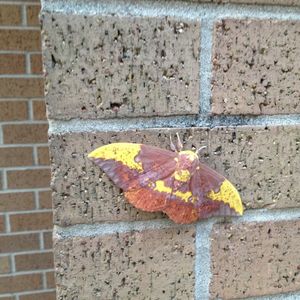 Image post by @kidsgardening on Instagram