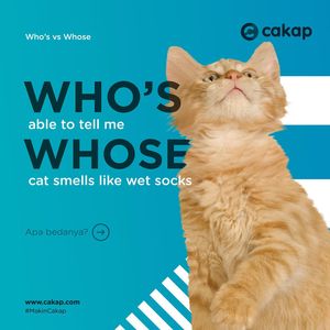 Image post by @cakapcom on Instagram