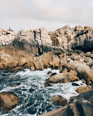 Image post by @zofeeagenota on Instagram