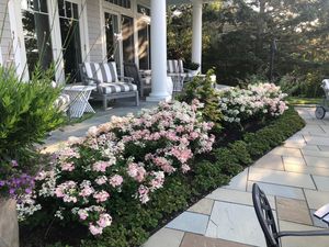Image post by @themainemag on Instagram