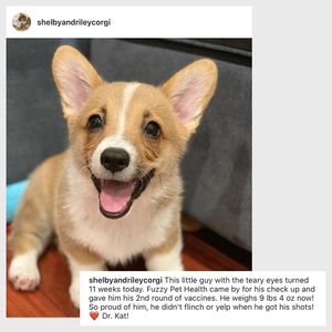 Image post by @yourfuzzy on Instagram