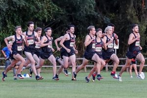 Image post by @ugatrack on Instagram