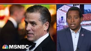 Video post by @msnbc on YouTube