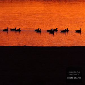 Image post by @lightboximages on Instagram