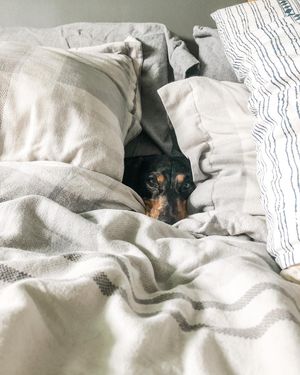 Image post by @engineeredsleep on Instagram