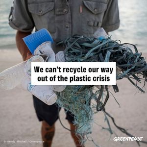 Image post by @greenpeace on Instagram