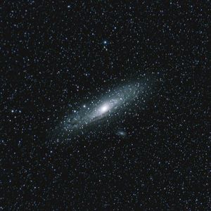 Image post by @mayasinghphotos on Instagram