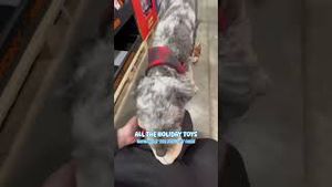 Video post by @lowes on YouTube
