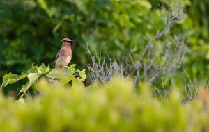 Image post by @huntsphotovideo on Instagram