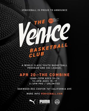 Image post by @veniceball on Instagram