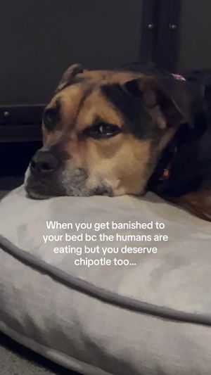 Video post by @hayleylewis_sports on TikTok