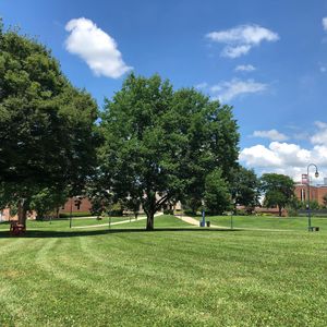 Image post by @shippensburgu on Instagram