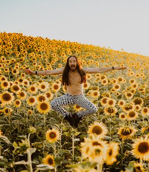 Image post by @steveaoki on Instagram