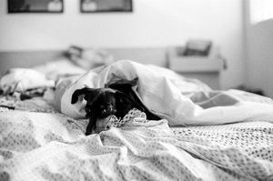Image post by @bycorrigan on Instagram