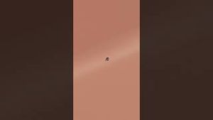 Video post by @goldenfeatures on YouTube