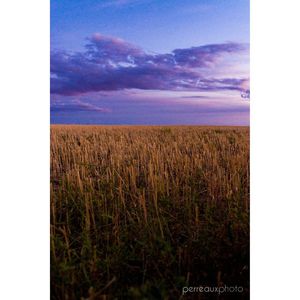Image post by @perreauxphoto on Instagram