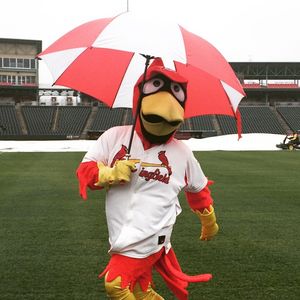 Image post by @springfield_cardinals on Instagram