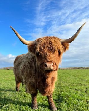 Image post by @visitscotland on Instagram