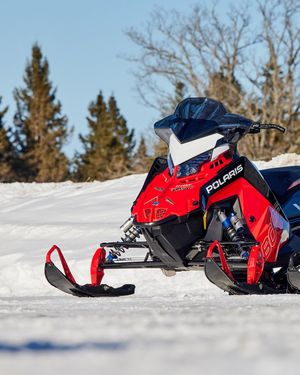 Image post by @levi_lavallee on Instagram