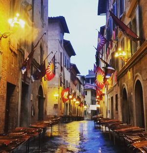 Image post by @cimbaitaly on Instagram
