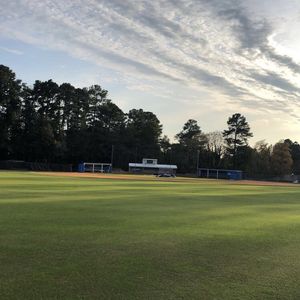 Image post by @adnbaseball on Instagram