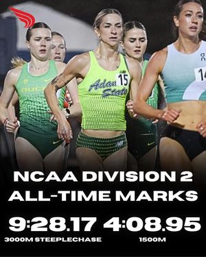 Image post by @dyestat on Instagram
