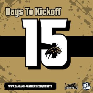 Image post by @panthersifl on Instagram