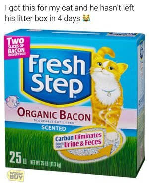 Image post by @worst.buy on Instagram