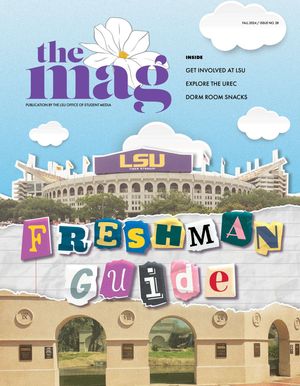 Image post by @lsutigertv on Instagram