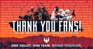 Image post by @Firebirds on Twitter/X