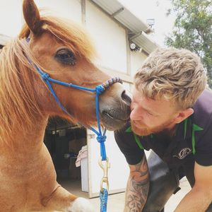 Image post by @performancesaddlefitssthsydney on Instagram