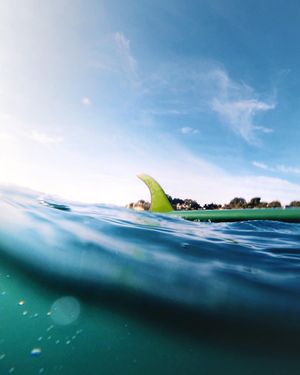 Image post by @slatertrout on Instagram