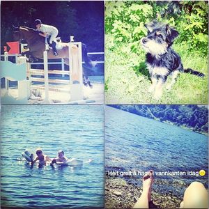 Image post by @carolinedame on Instagram