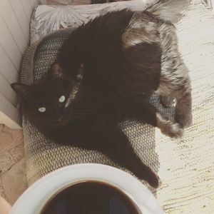 Image post by @zeetabody on Instagram