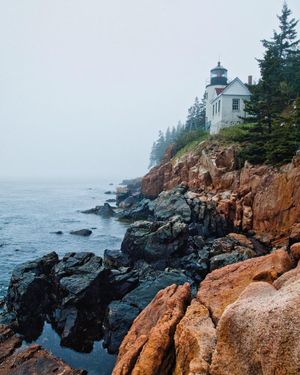 Image post by @themainemag on Instagram