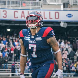 Image post by @mtlalouettes on Instagram