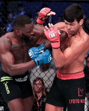 Image post by @bellatormma on Instagram