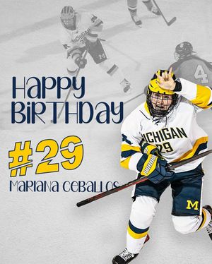 Image post by @umichwhockey on Instagram