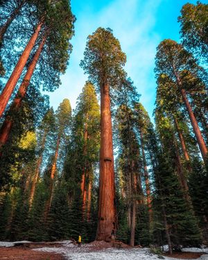 Image post by @nationalparkspartnership on Instagram