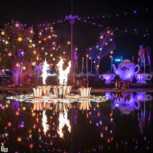 Image post by @beyondwland on Instagram