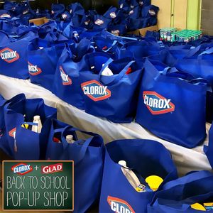 Image post by @clorox on Instagram