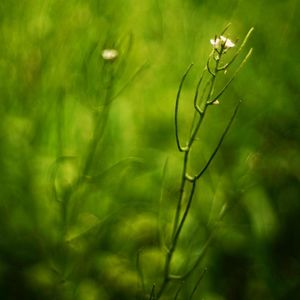 Image post by @fotodioxpro on Instagram