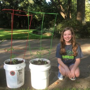 Image post by @kidsgardening on Instagram