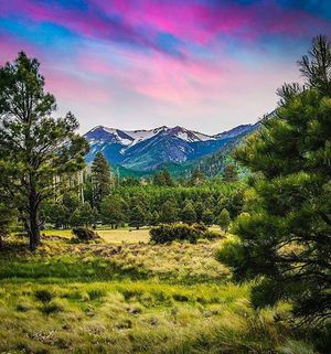 Image post by @nauflagstaff on Instagram