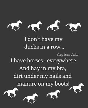Image post by @equineidsolutions on Instagram