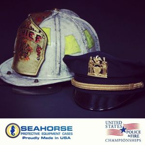 Image post by @seahorsecases on Instagram