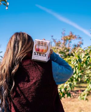 Image post by @drinkstilly on Instagram