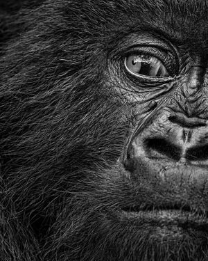 Image post by @natgeo on Instagram